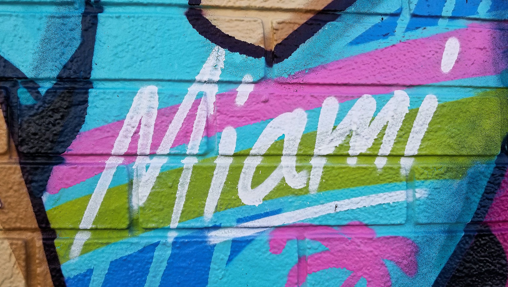 Windward Walls Miami